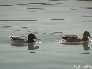 Fucking Awesome - the Bodyguard