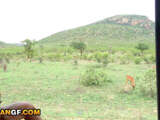 Real footage of my charming áfrica prawan ngisep me off during safari romantic getaway